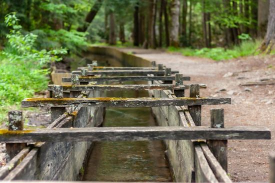 Image for Exploring Cades Cove: A Journey Through Time and Nature