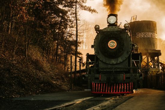 Image for Discover the Wonders of Dollywood and the Comfort of Our Cabins